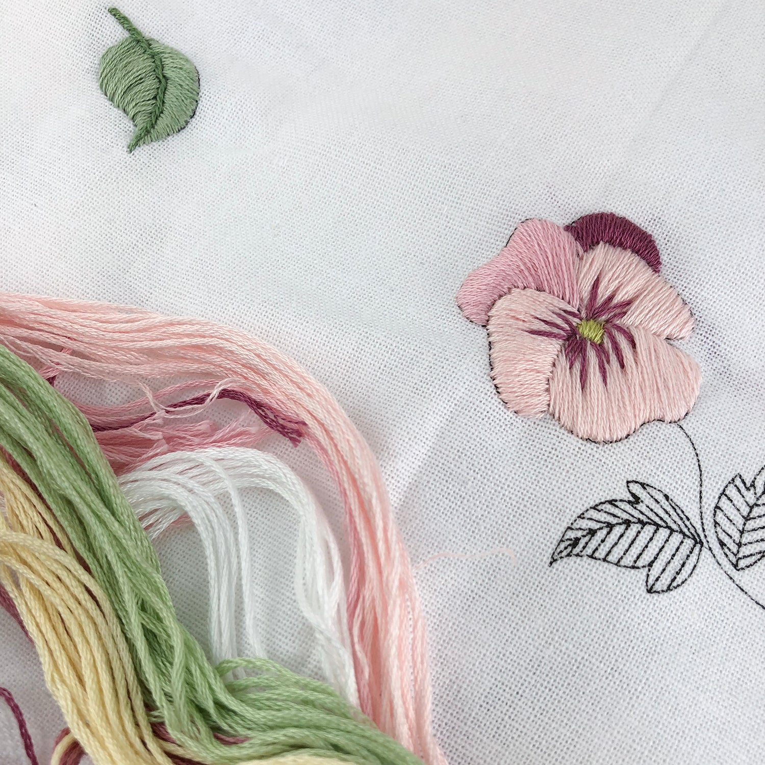 Sara's Monthly Project Update - April 2022
