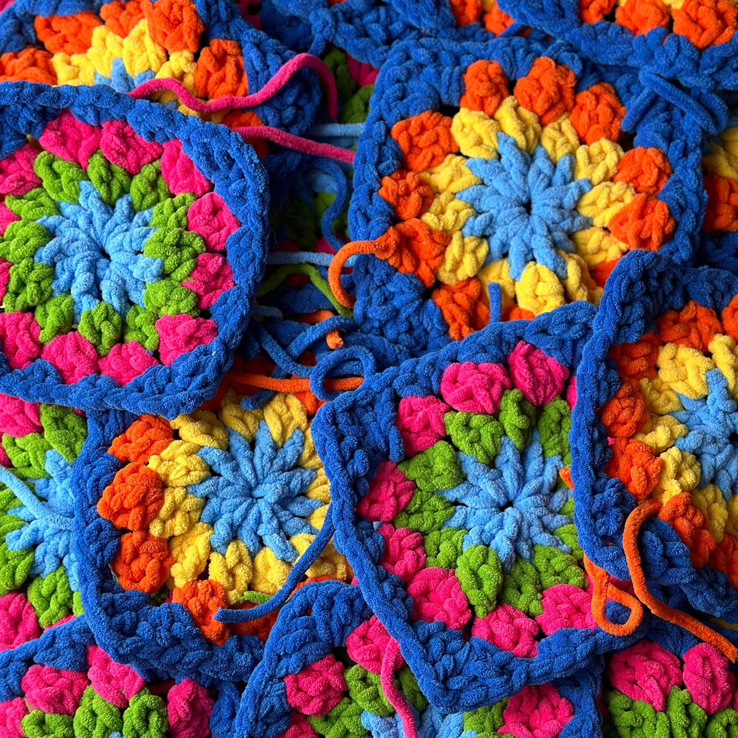 Sara's Monthly Project Update - July 2024