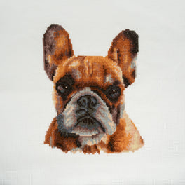 Trimits Counted Cross Stitch Kit, Large: French Bulldog