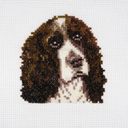 Trimits Counted Cross Stitch Kit, Mini: Springer Spaniel