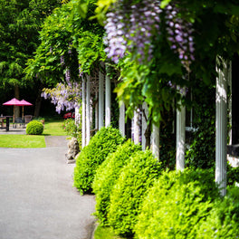 Three Day Knitting Retreat: 15th-18th August 2027 - Twin Room