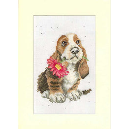 Especially For You - Bothy Threads Greeting Card Cross Stitch Kit