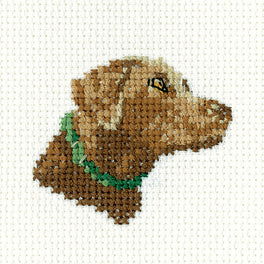 Chocolate Labrador - Heritage Crafts Cross Stitch Kit