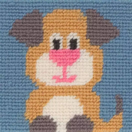 Anchor 1st Kit - Amber Long Stitch