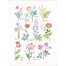 DMC - Botanical Sampler Cross Stitch Kit