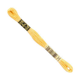 DMC Stranded Cottons Embroidery Thread - Orange