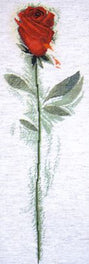 Red Rose