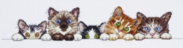 Curious Kittens