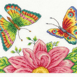 Butterfly Garden