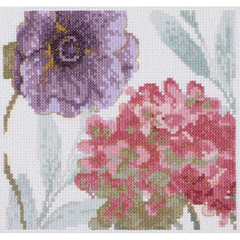 Rainbow Seeds Flowers V