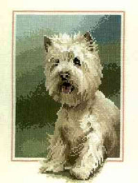 Westie