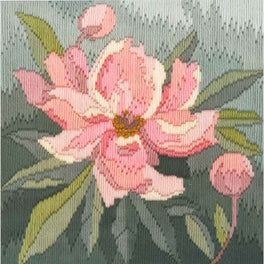 Peony