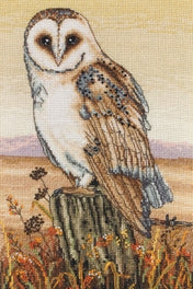 Owl Horizon