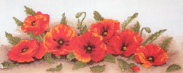 Spray of Poppies