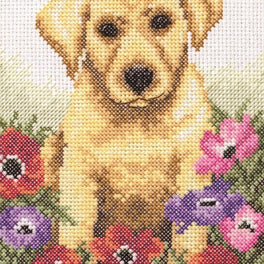 Puppy