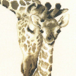 Giraffe Family