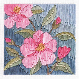 Camelias