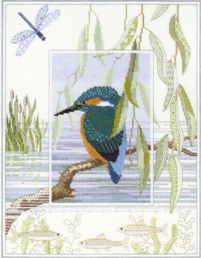 Kingfisher
